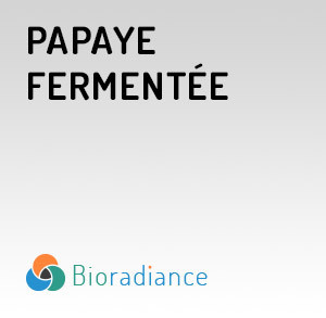 Papaye Fermentée - 90 Gélules