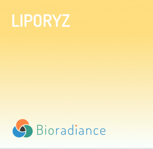 Liporyz - 180 Capsules...