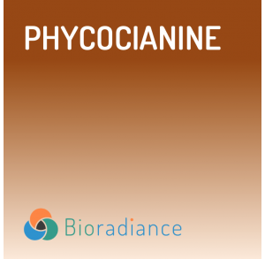 Phycocyanine - 21 Ampoules